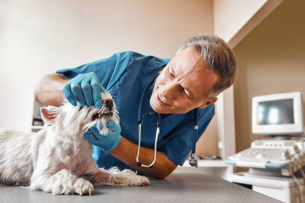 Best Emergency Dental Care for Trauma or Injury in Seadrift, TX